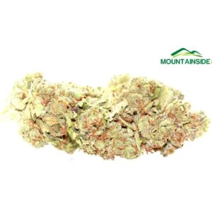 Cherry-Dosido sativa