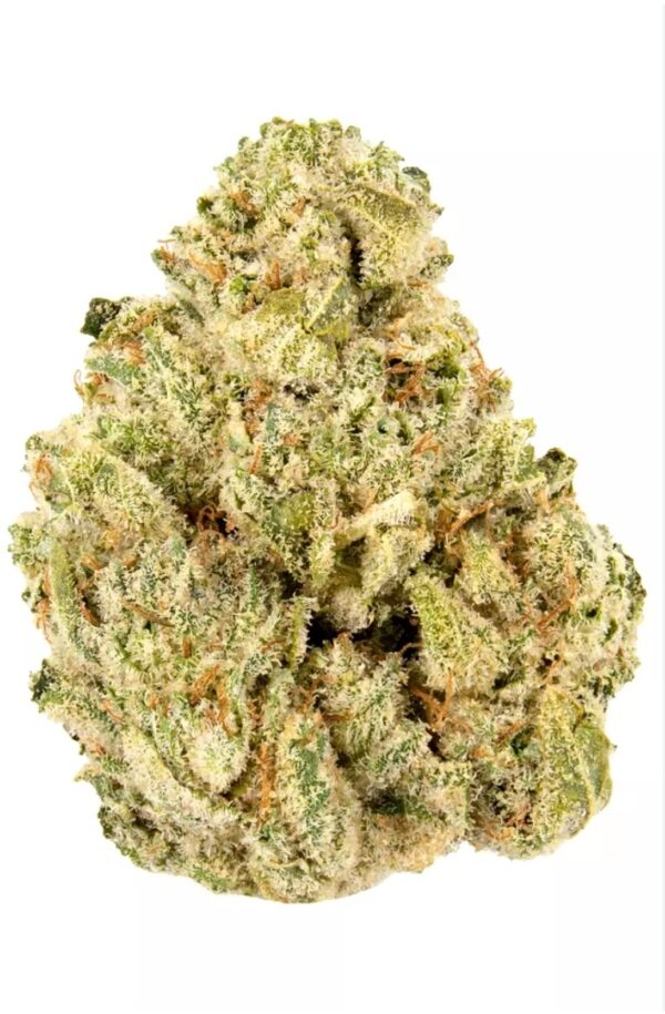 LIMONCELLO 30% SF. Standard top shelf SATIVA 1/8 -28g