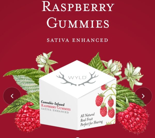 raspberry gummies sativa